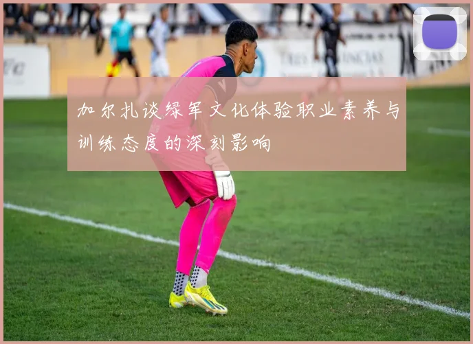 加尔扎谈绿军文化体验职业素养与训练态度的深刻影响